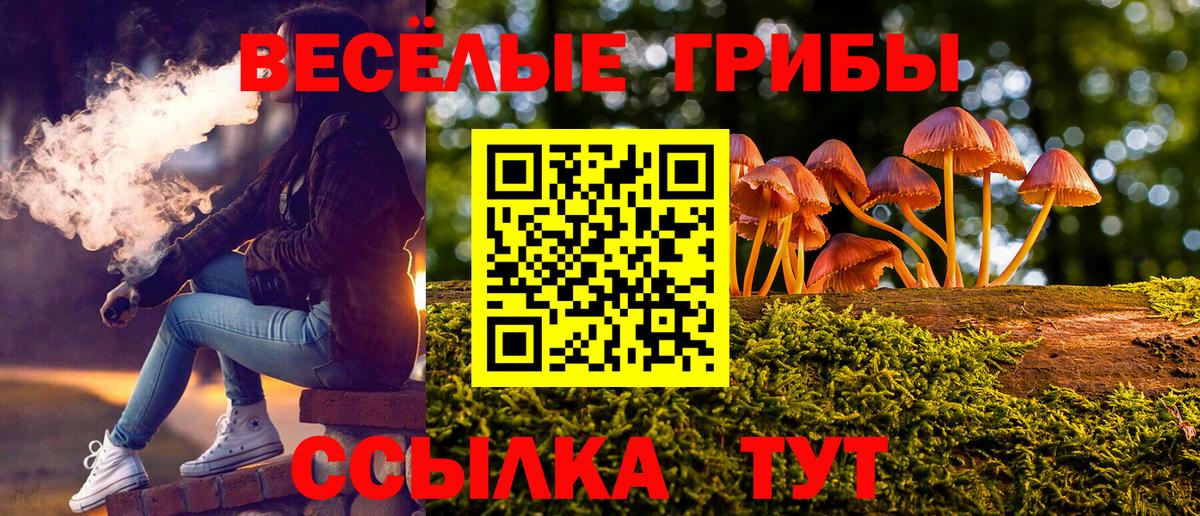 Волгоград  Галлюциногенные грибы мицелий  Вход с VPN 