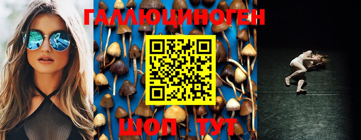 Псилоцибиновые грибы GOLDEN TEACHER Волгоград